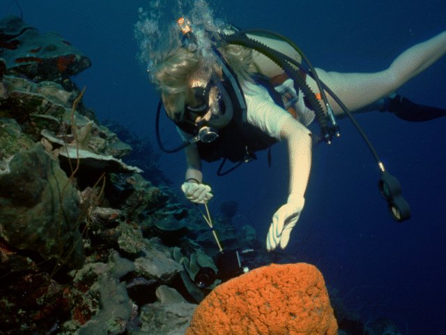 Photos - Mer - 056